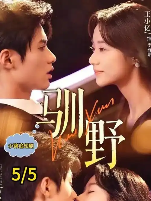 漫长的季节塔尖海报